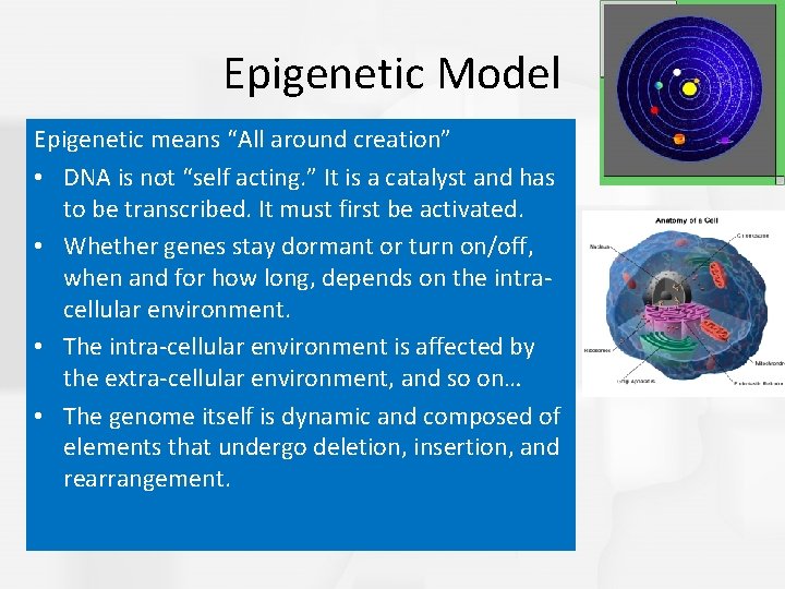 Epigenetic Model Epigenetic means “All around creation” • DNA is not “self acting. ”