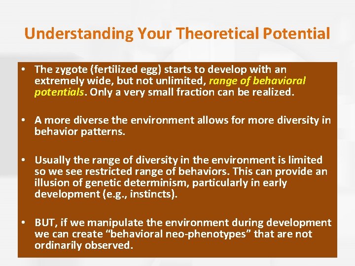 Understanding Your Theoretical Potential • The zygote (fertilized egg) starts to develop with an