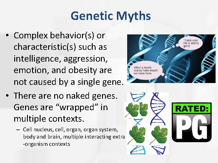 Genetic Myths • Complex behavior(s) or characteristic(s) such as intelligence, aggression, emotion, and obesity