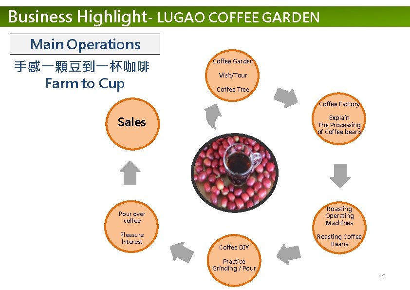 Business Highlight- LUGAO COFFEE GARDEN Main Operations 手感一顆豆到一杯咖啡 Farm to Cup Coffee Garden Visit/Tour