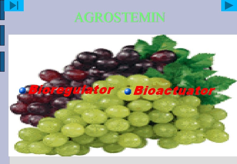 AGROSTEMIN Bioregulator Bioactuator 