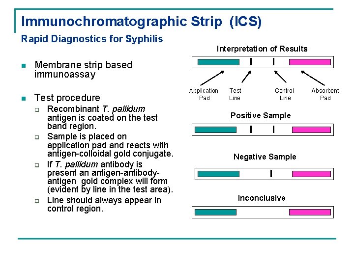 Immunochromatographic Strip (ICS) Rapid Diagnostics for Syphilis Interpretation of Results n n I Membrane