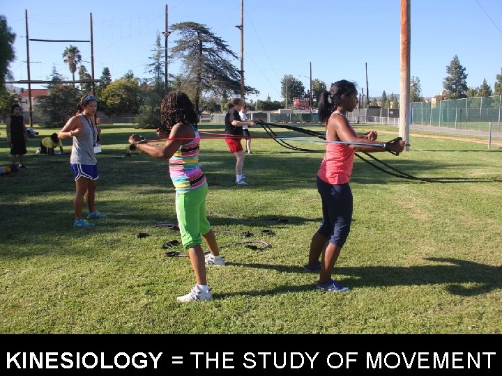 KINESIOLOGY = THE STUDY OF MOVEMENT 