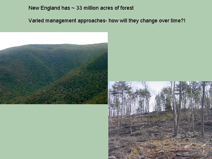 New England has ~ 33 million acres of forest Varied management approaches- how will