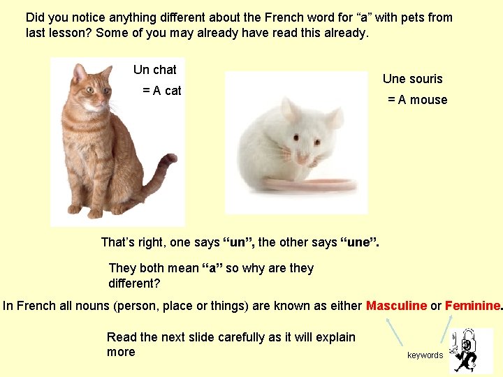 Did you notice anything different about the French word for “a” with pets from