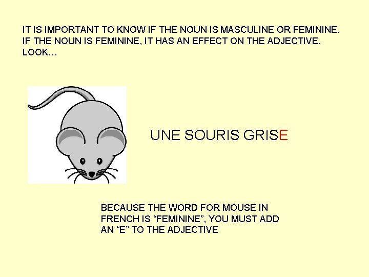 IT IS IMPORTANT TO KNOW IF THE NOUN IS MASCULINE OR FEMININE. IF THE