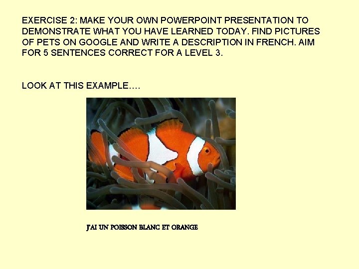 EXERCISE 2: MAKE YOUR OWN POWERPOINT PRESENTATION TO DEMONSTRATE WHAT YOU HAVE LEARNED TODAY.