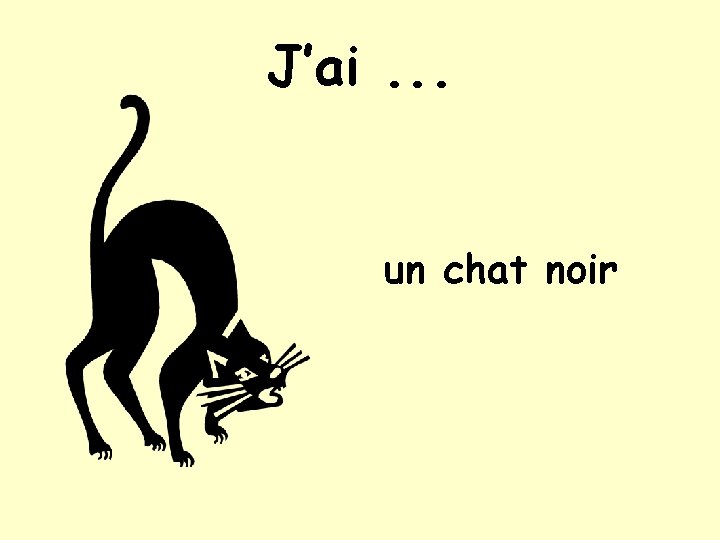 J’ai. . . un chat noir J’ai. . . un chat noir