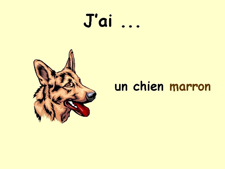 J’ai. . . un chien marron 