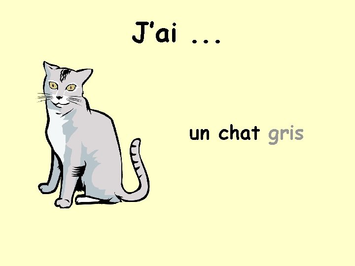 J’ai. . . un chat gris 