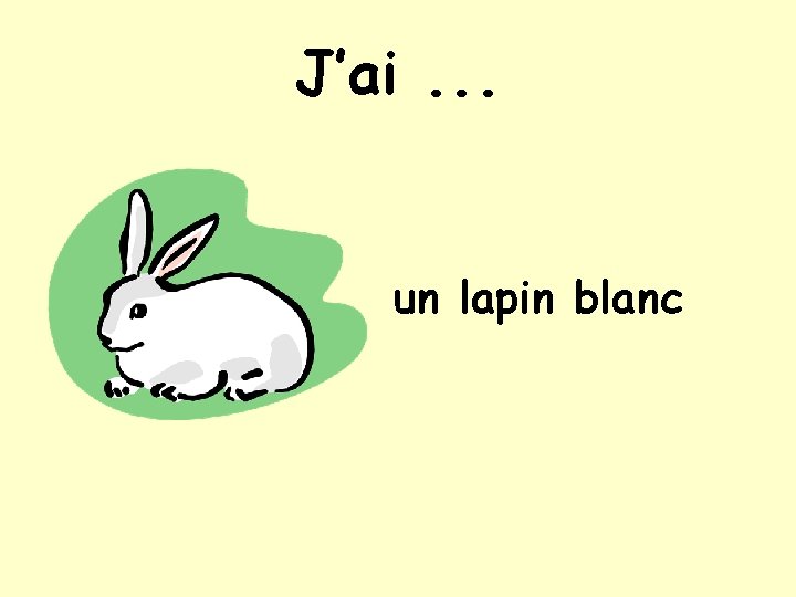 J’ai. . . un lapin blanc 