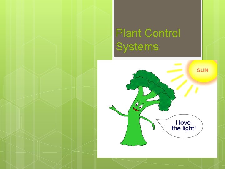 Plant Control Systems Topic 9. 4 