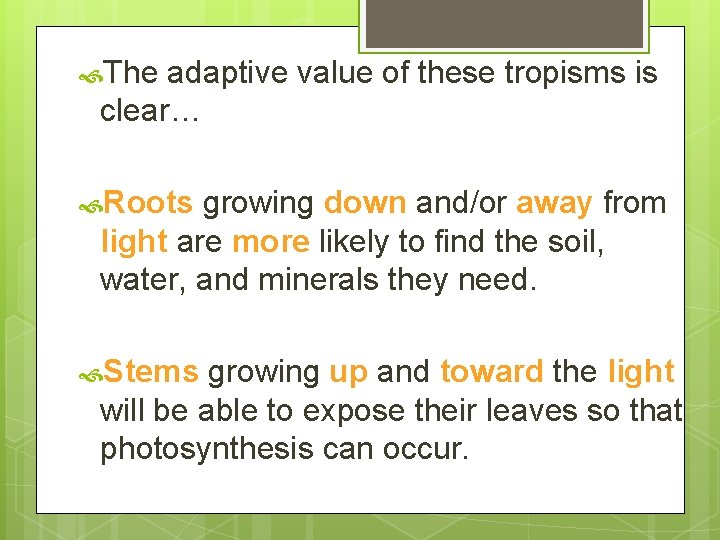  The adaptive value of these tropisms is clear… Roots growing down and/or away