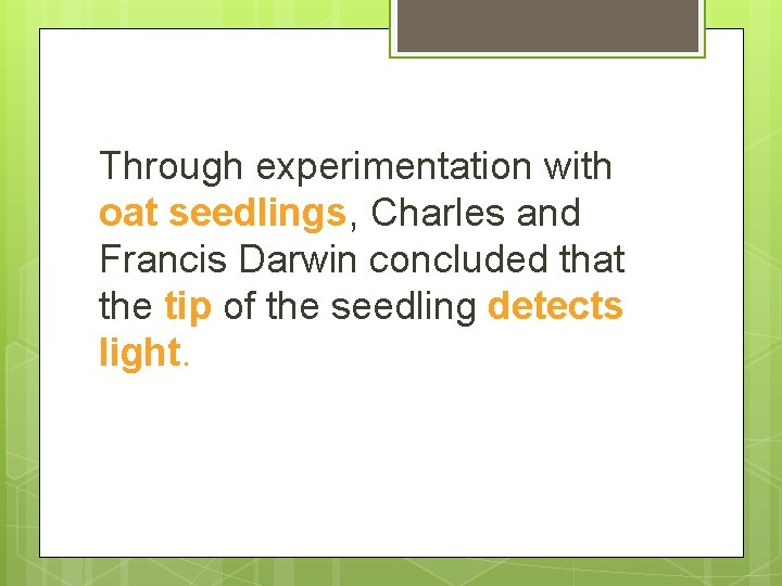 Through experimentation with oat seedlings, Charles and Francis Darwin concluded that the tip of