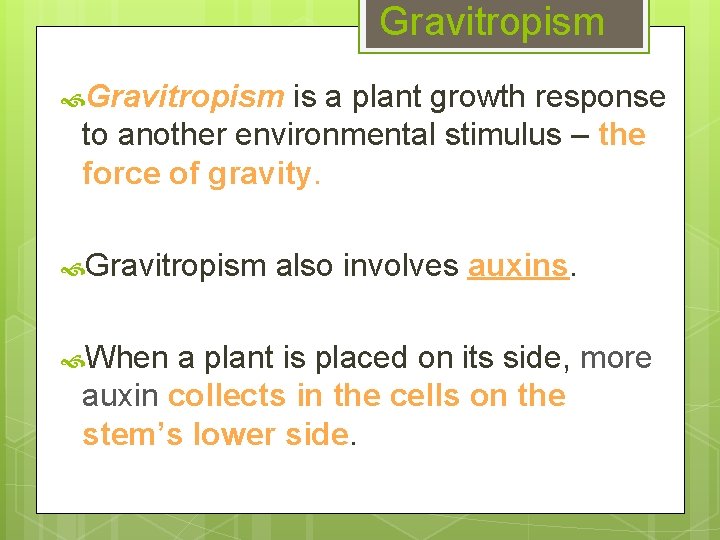 Gravitropism is a plant growth response to another environmental stimulus – the force of