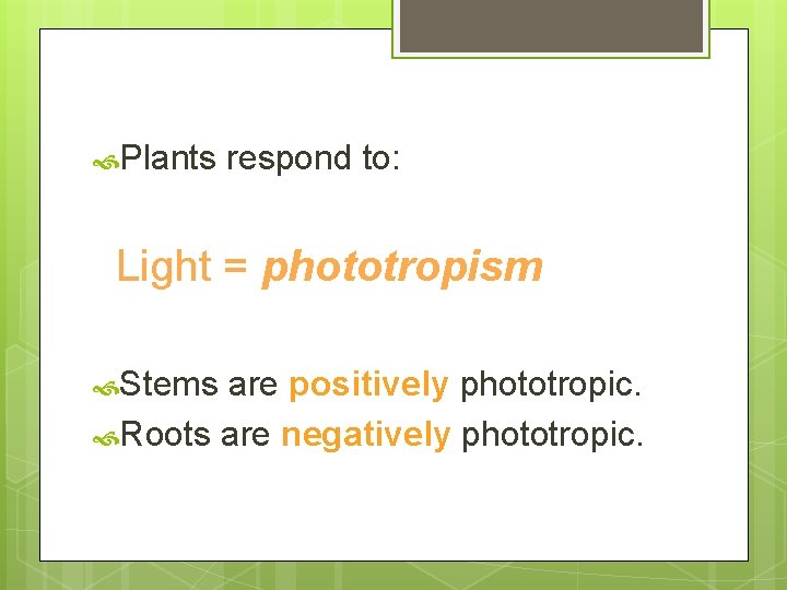  Plants respond to: Light = phototropism Stems are positively phototropic. Roots are negatively
