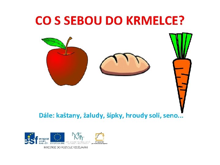 CO S SEBOU DO KRMELCE? Dále: kaštany, žaludy, šípky, hroudy soli, seno. . .