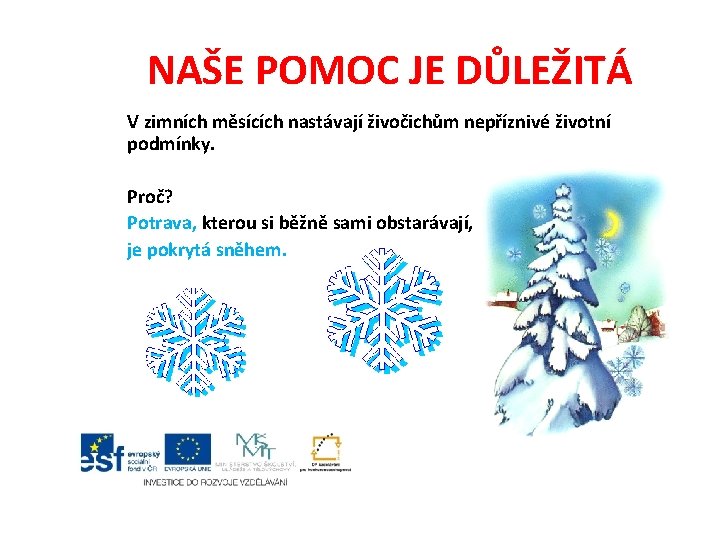 NAŠE POMOC JE DŮLEŽITÁ V zimních měsících nastávají živočichům nepříznivé životní podmínky. Proč? Potrava,