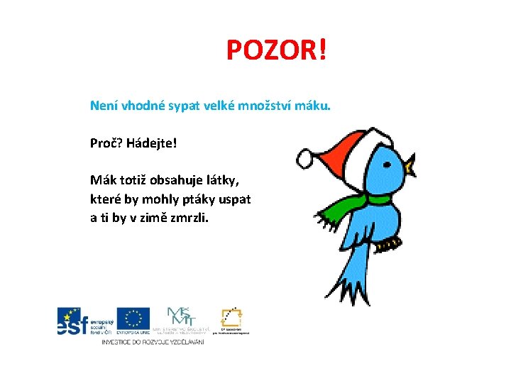 POZOR! Není vhodné sypat velké množství máku. Proč? Hádejte! Mák totiž obsahuje látky, které