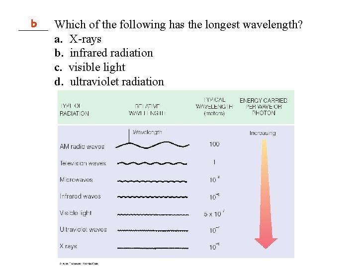 b Which of the following has the longest wavelength? _____ a. X-rays b. infrared