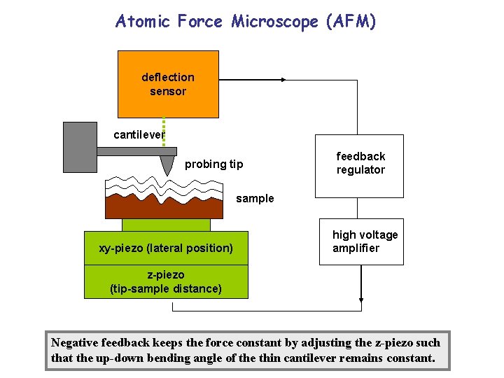 Atomic Force Microscope (AFM) deflection sensor cantilever probing tip feedback regulator sample xy-piezo (lateral