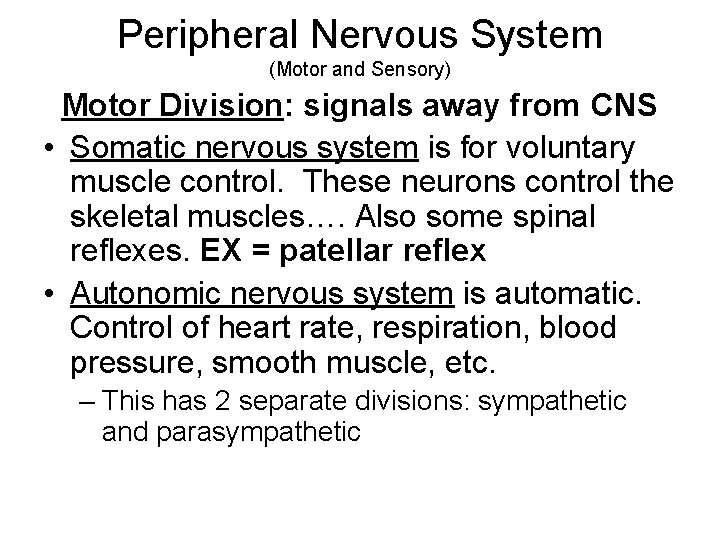 Peripheral Nervous System (Motor and Sensory) Motor Division: signals away from CNS • Somatic