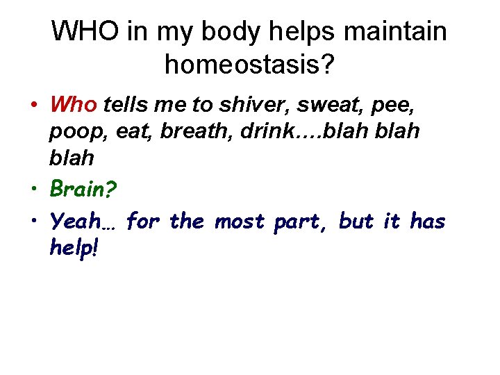 WHO in my body helps maintain homeostasis? • Who tells me to shiver, sweat,