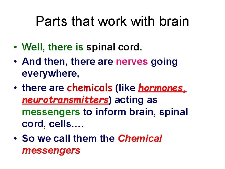 Parts that work with brain • Well, there is spinal cord. • And then,