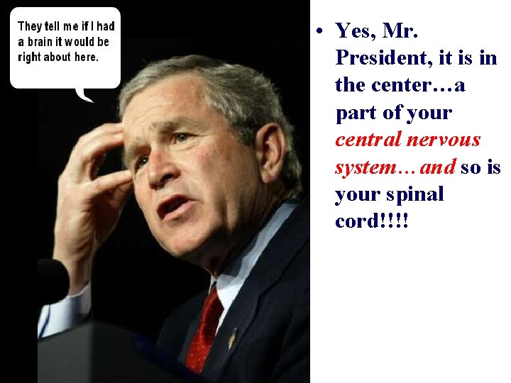 • Yes, Mr. President, it is in the center…a part of your central • Yes, Mr. President, it is in the center…a part of your central
