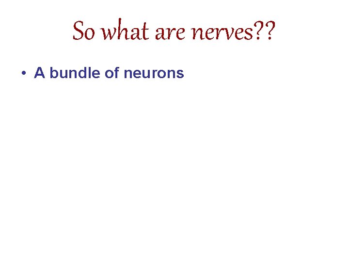 So what are nerves? ? • A bundle of neurons So what are nerves? ? • A bundle of neurons
