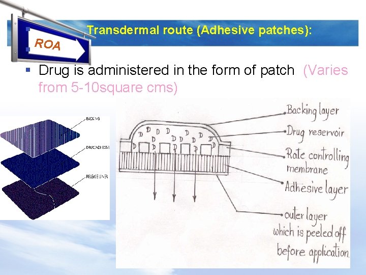 § Transdermal route (Adhesive patches): R § OA § Drug is administered in the
