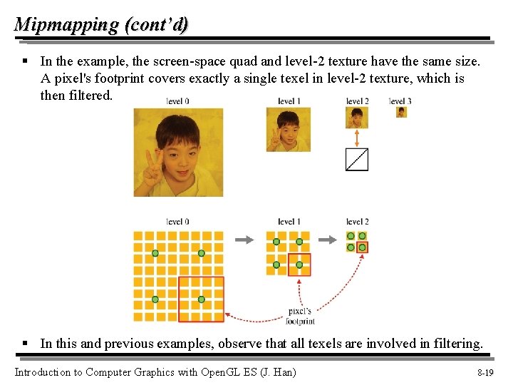 Mipmapping (cont’d) § In the example, the screen-space quad and level-2 texture have the