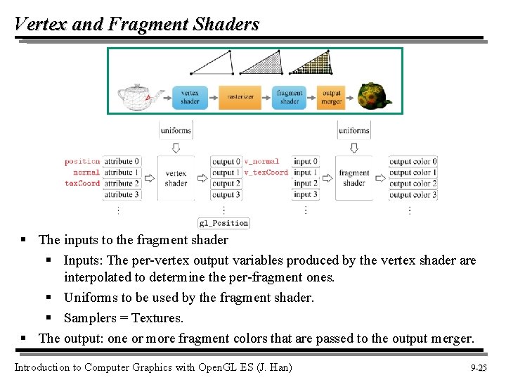 Vertex and Fragment Shaders § The inputs to the fragment shader § Inputs: The