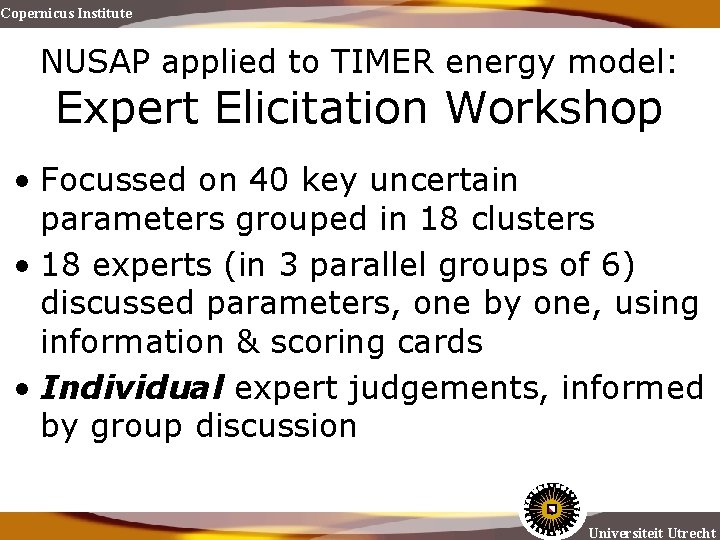 Copernicus Institute NUSAP applied to TIMER energy model: Expert Elicitation Workshop • Focussed on