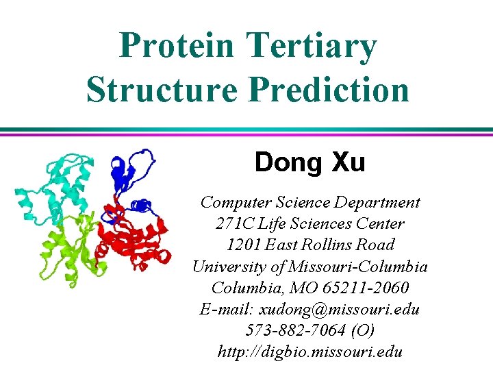 Protein Tertiary Structure Prediction Dong Xu Computer Science Department 271 C Life Sciences Center