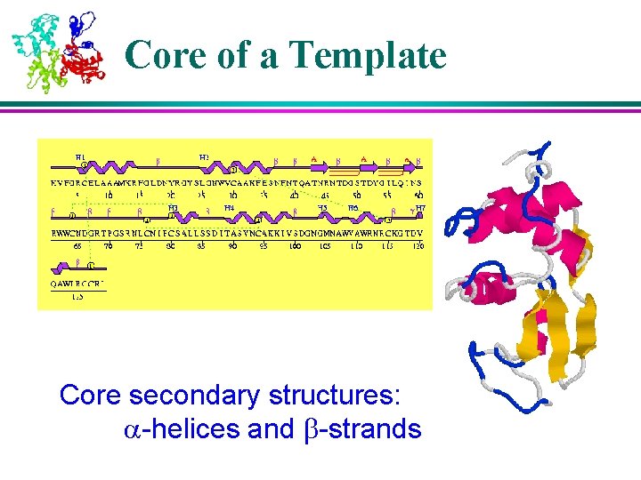 Core of a Template Core secondary structures: a-helices and b-strands 
