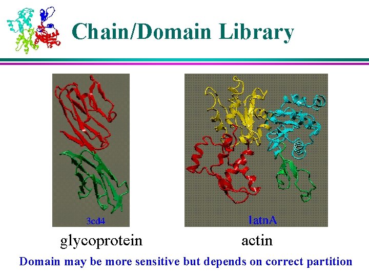 Chain/Domain Library glycoprotein actin Domain may be more sensitive but depends on correct partition