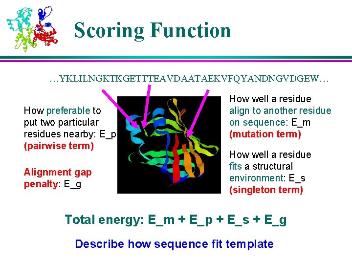 Scoring Function …YKLILNGKTKGETTTEAVDAATAEKVFQYANDNGVDGEW… How preferable to put two particular residues nearby: E_p (pairwise term)