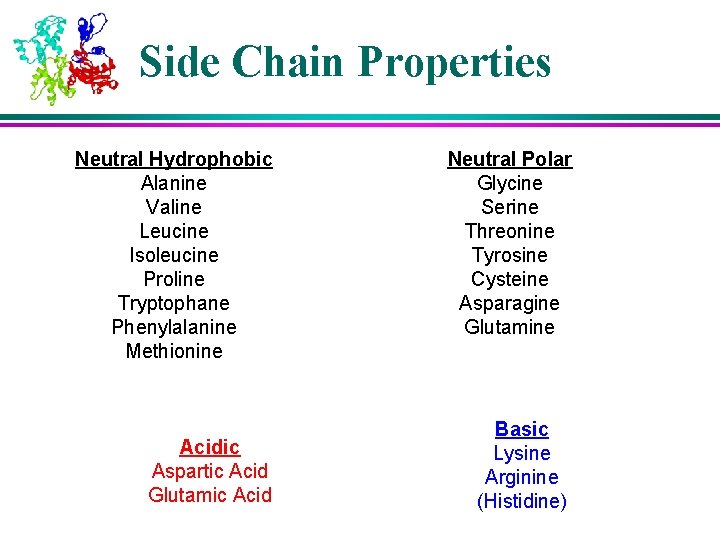 Side Chain Properties Neutral Hydrophobic Alanine Valine Leucine Isoleucine Proline Tryptophane Phenylalanine Methionine Acidic