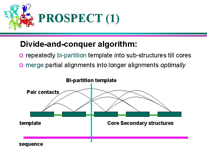 PROSPECT (1) Divide-and-conquer algorithm: o repeatedly bi-partition template into sub-structures till cores o merge