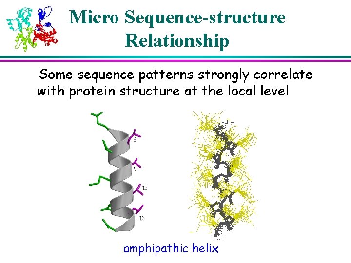 Micro Sequence-structure Relationship Some sequence patterns strongly correlate with protein structure at the local