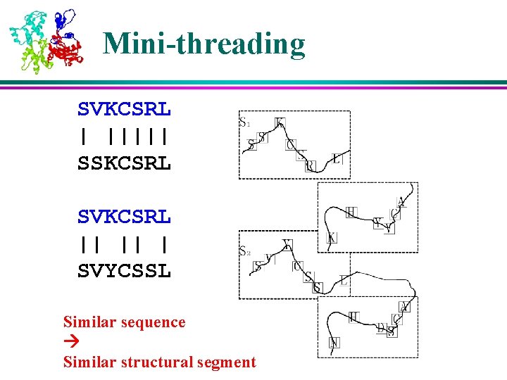 Mini-threading SVKCSRL | ||||| SSKCSRL SVKCSRL || || | SVYCSSL Similar sequence Similar structural