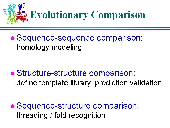 Evolutionary Comparison l Sequence-sequence comparison: homology modeling l Structure-structure comparison: define template library, prediction