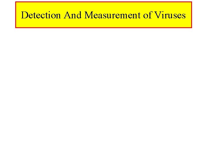 Detection And Measurement of Viruses 