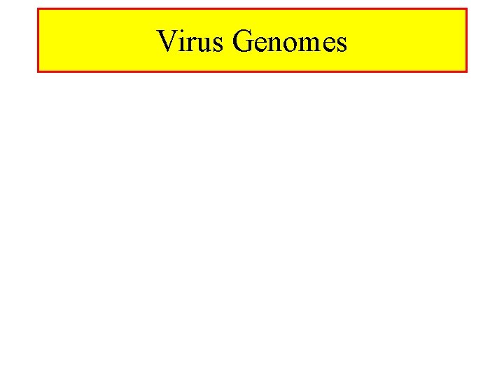 Virus Genomes 