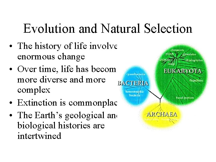 Evolution and Natural Selection • The history of life involves enormous change • Over