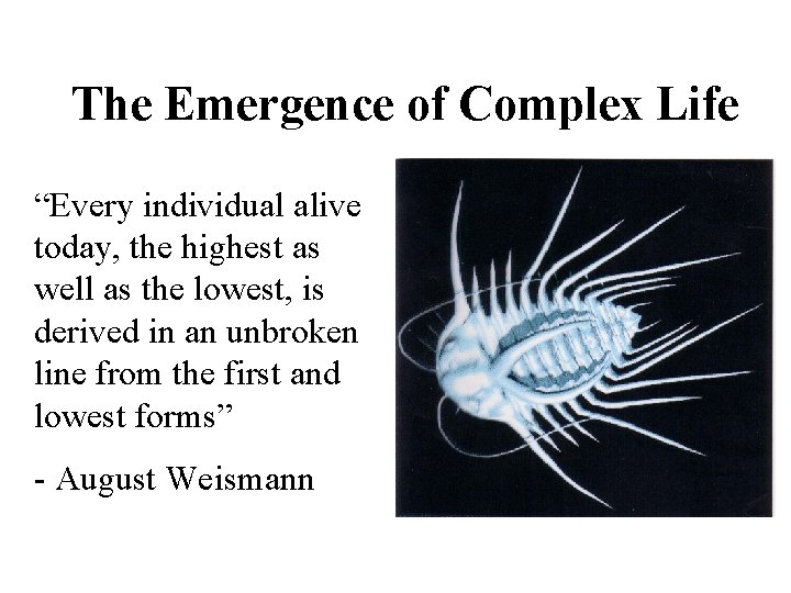 The Emergence of Complex Life “Every individual alive today, the highest as well as