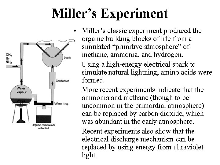 Miller’s Experiment • Miller’s classic experiment produced the organic building blocks of life from