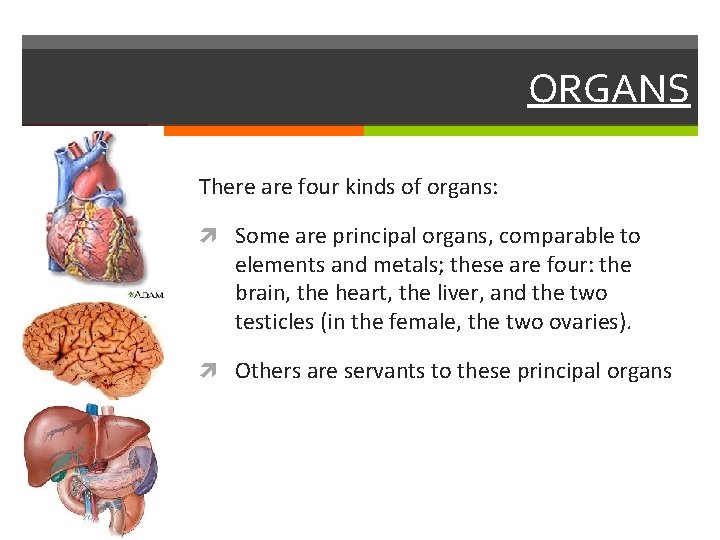 ORGANS There are four kinds of organs: Some are principal organs, comparable to elements