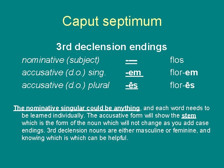 Caput septimum 3 rd declension endings nominative (subject) accusative (d. o. ) sing. accusative